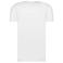 Ten Cate V-neck t-shirts basics 32325