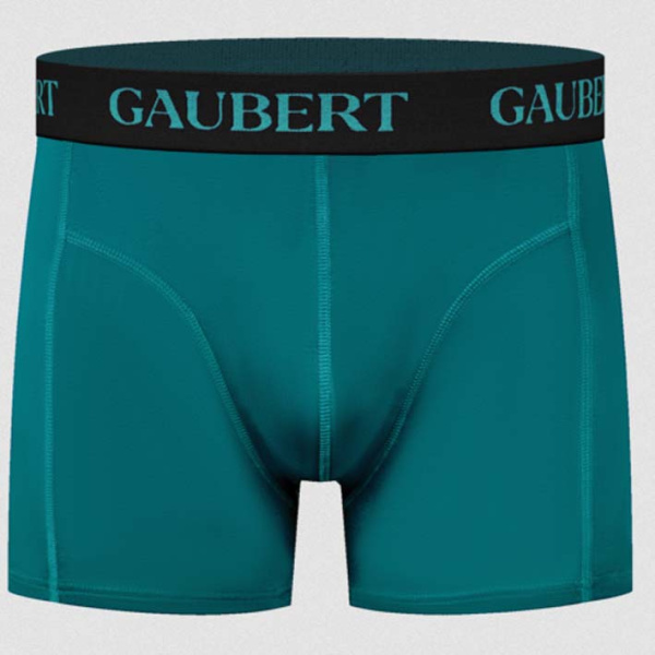 Bamboe ondergoed heren BMB-014 Gaubert