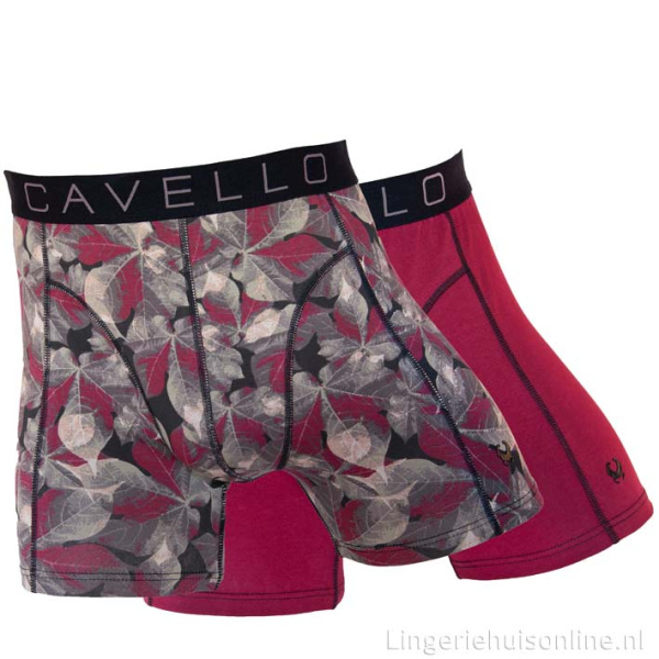 Cavello Underwear heren boxershorts CB24001 bordeaux