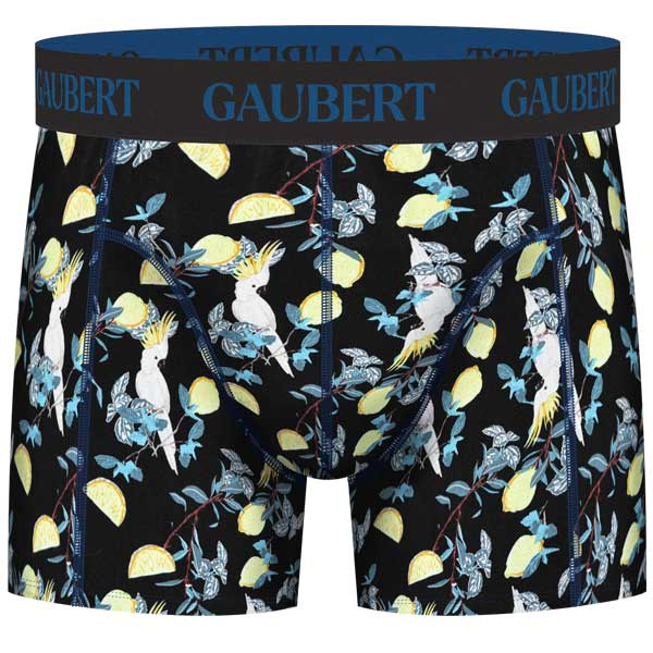 Gaubert heren bamboe boxershort BMB-019